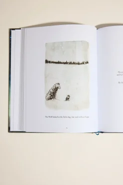 Following The Moon Book