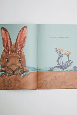 Hare & Ruru: A Quiet Moment Book