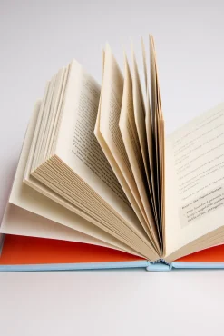 Ikigai Book