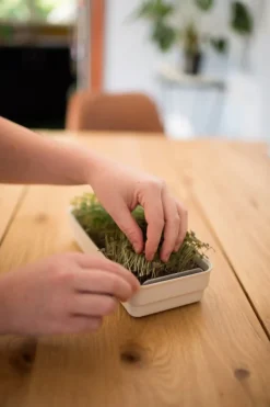 Micrpod Micro Snips