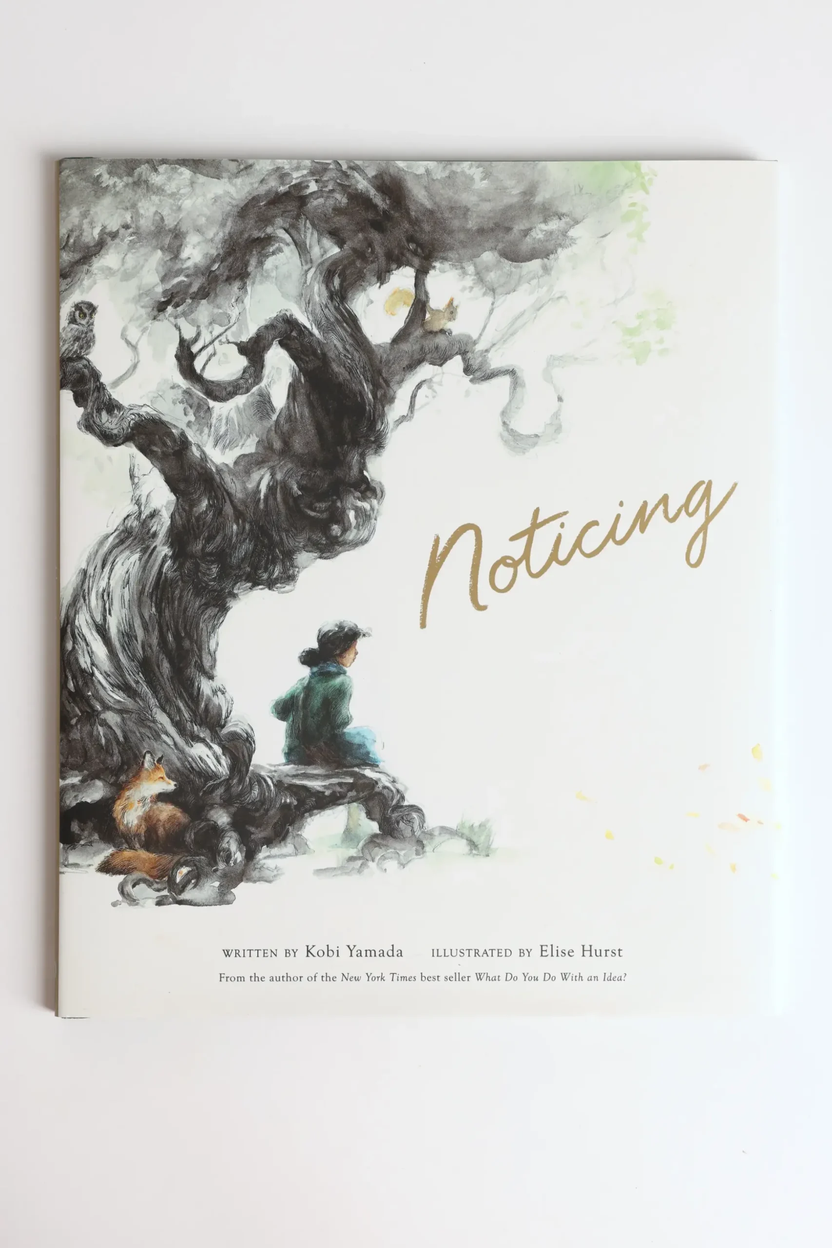 Noticing Book