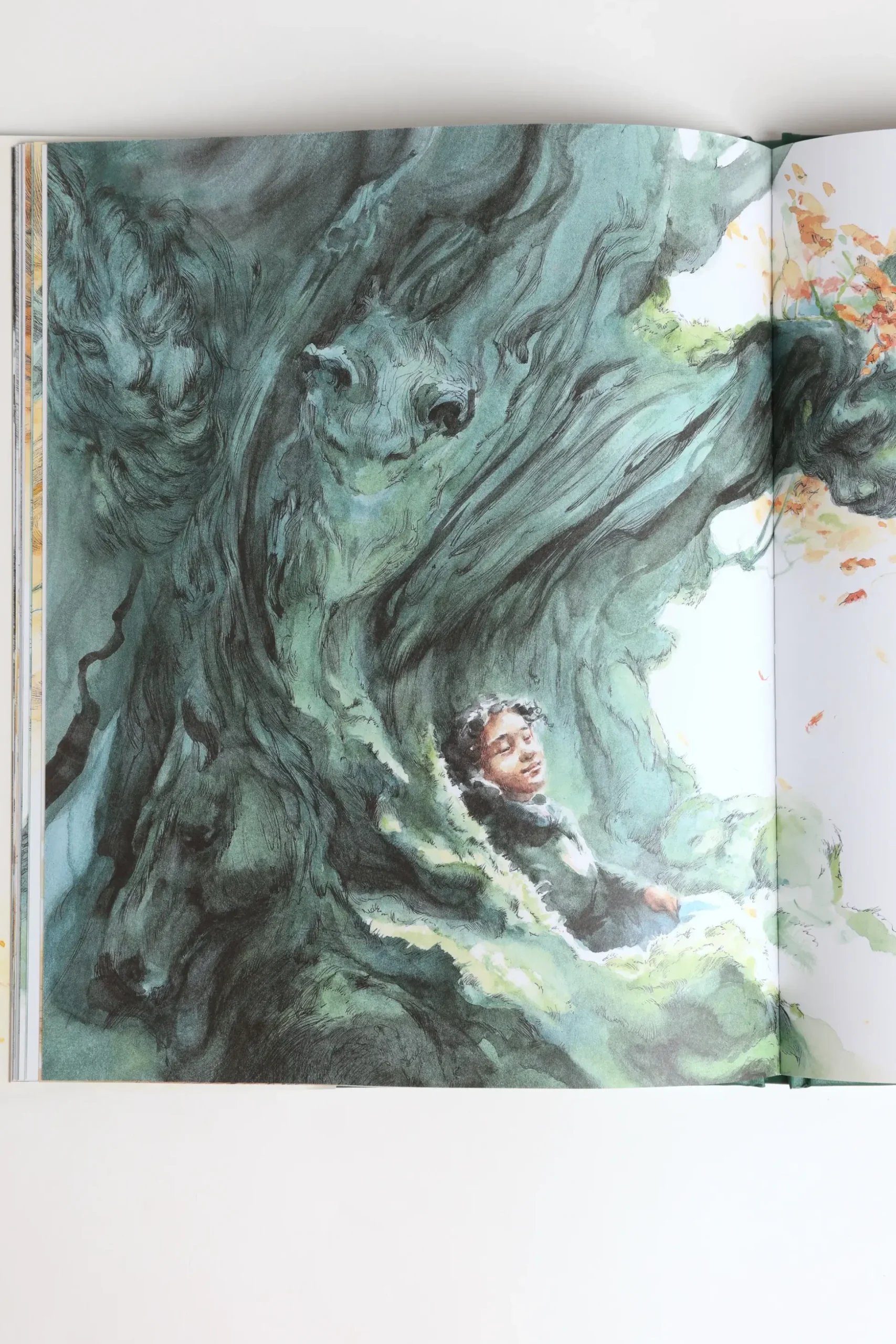 Noticing Book