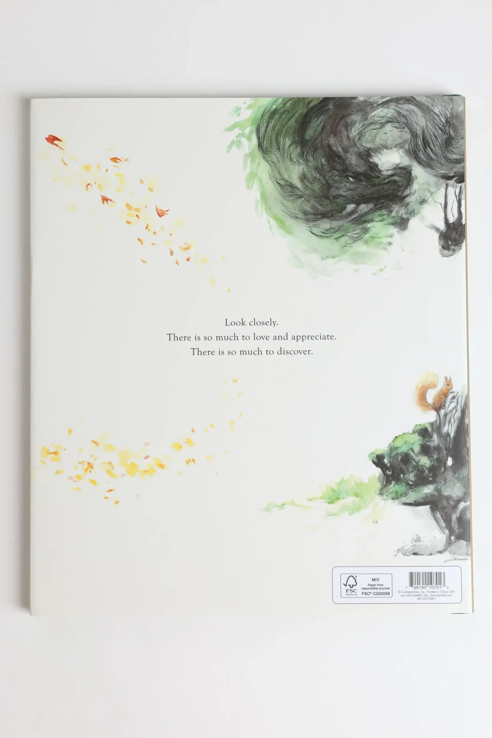 Noticing Book