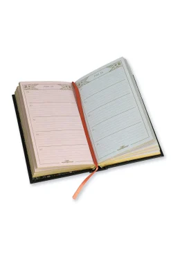 Nouveau One Line a Day Journal