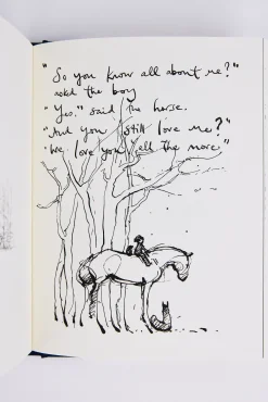 The Boy, The Mole, The Fox and The Horse Book