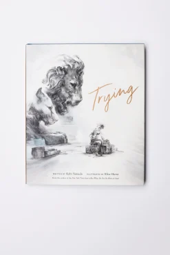 Trying Book