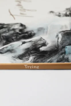 Trying Book