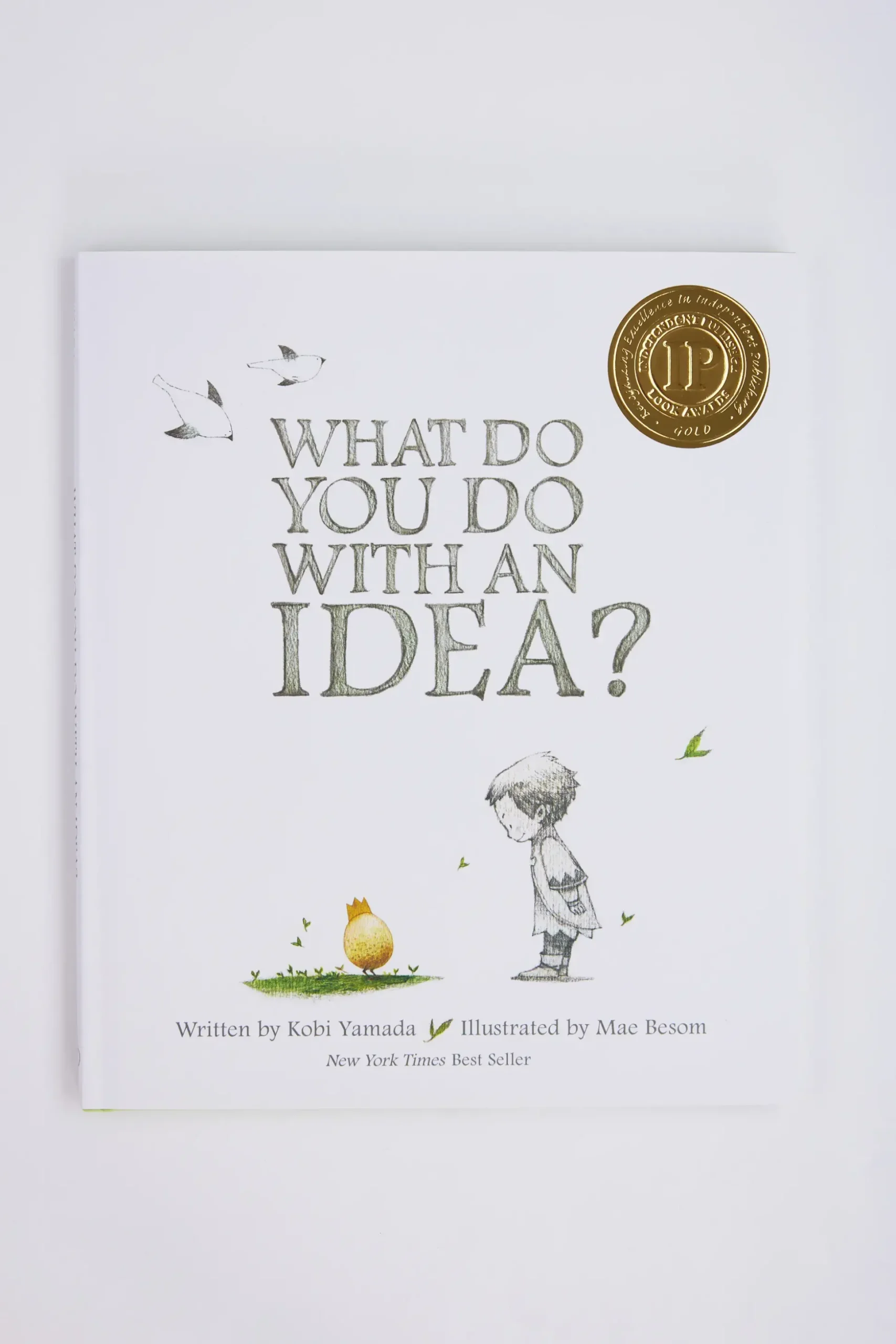 What Do You Do With an Idea Book
