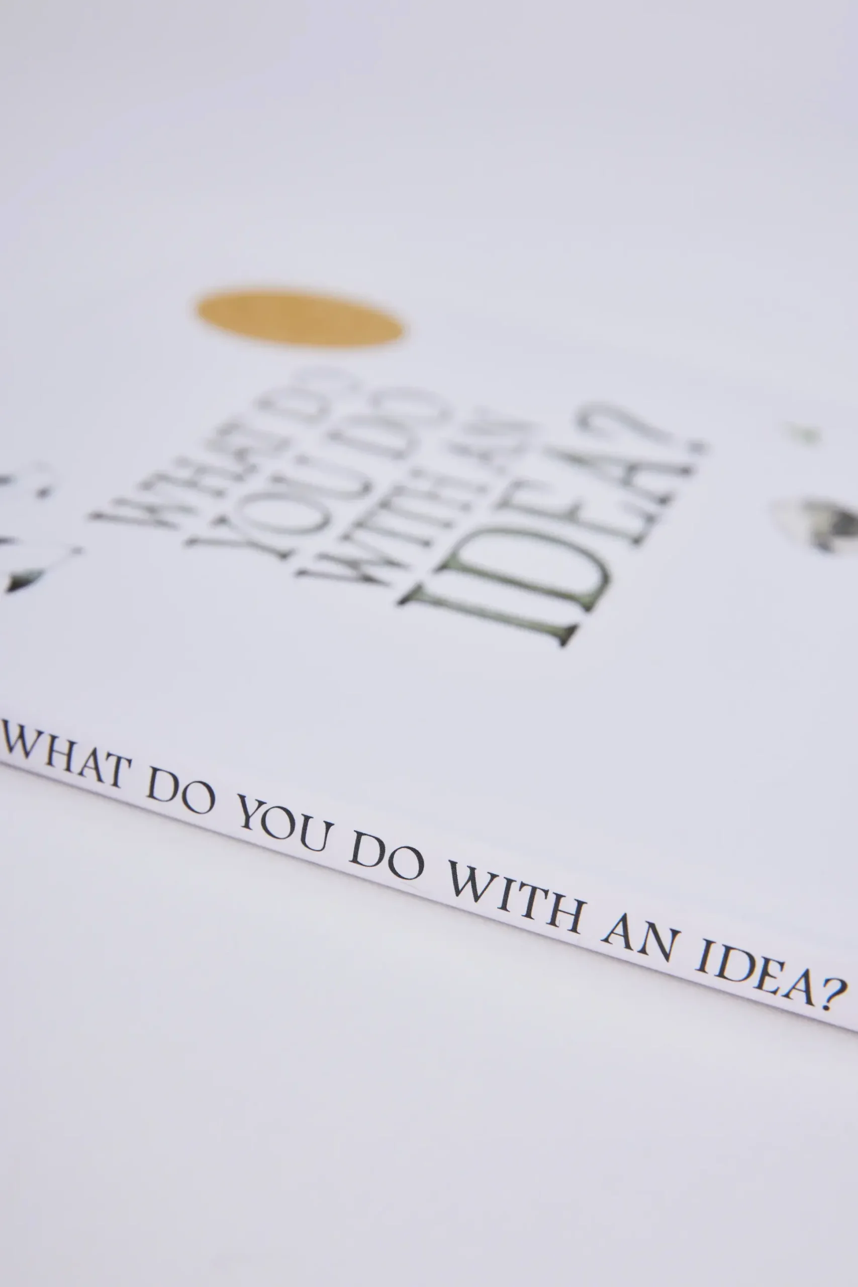 What Do You Do With an Idea Book
