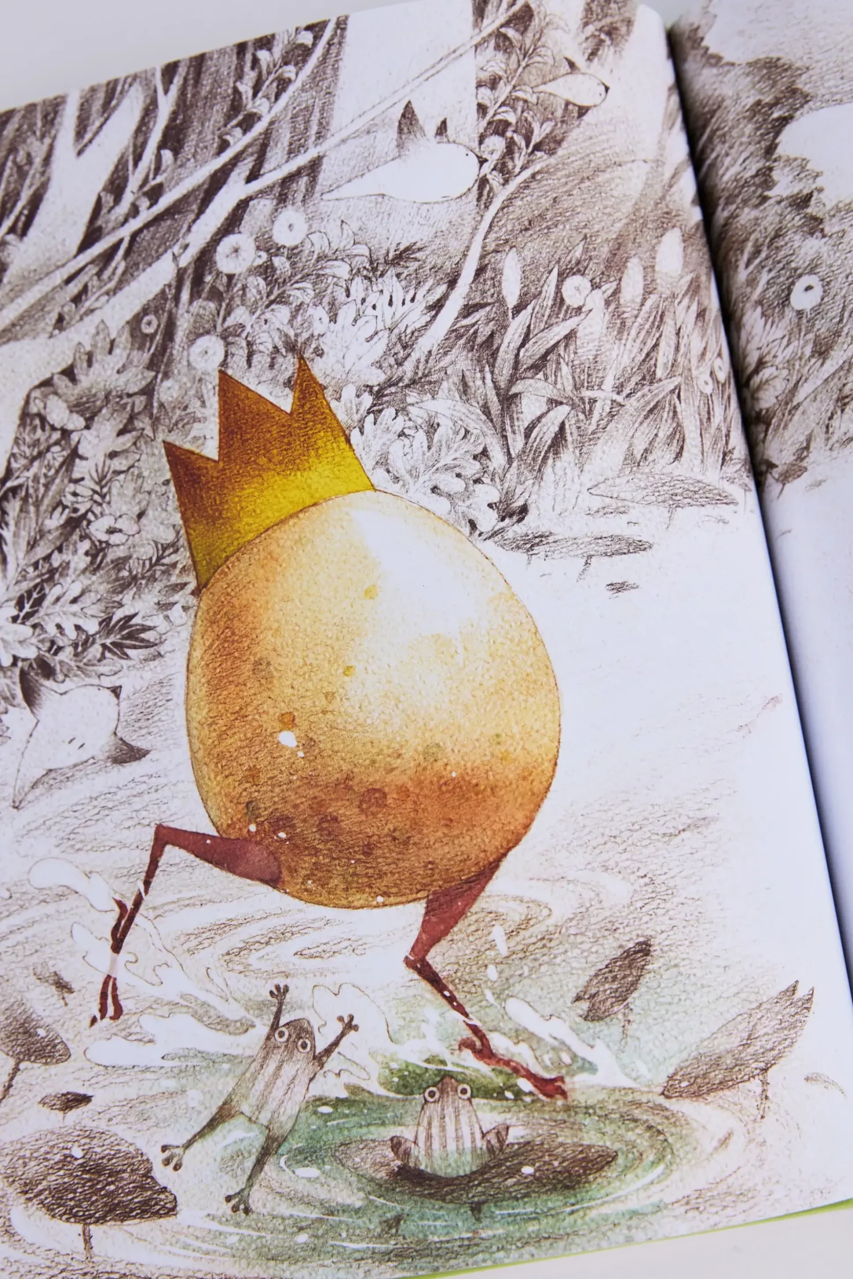 What Do You Do With an Idea Book